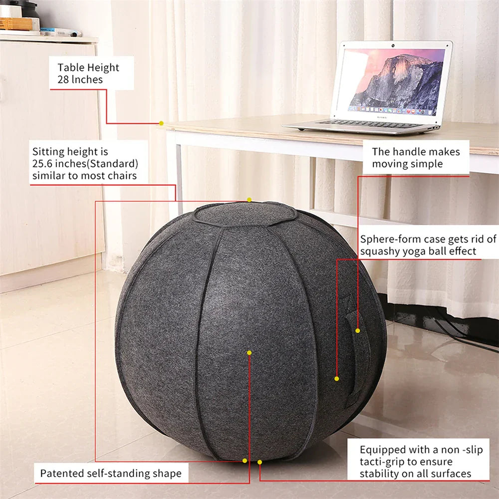Yoga Ball Cover with Pump & Handle-2