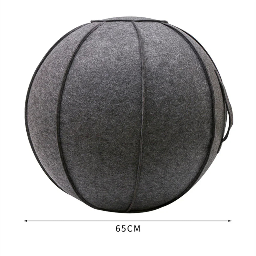 Yoga Ball Cover with Pump & Handle-1