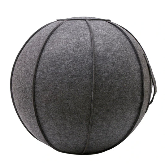 Yoga Ball Cover with Pump & Handle-0